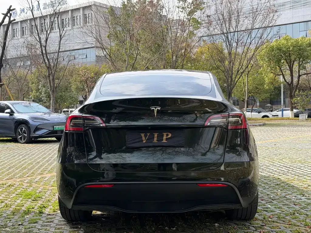 Tesla Model Y 2021 из CN, фото 4