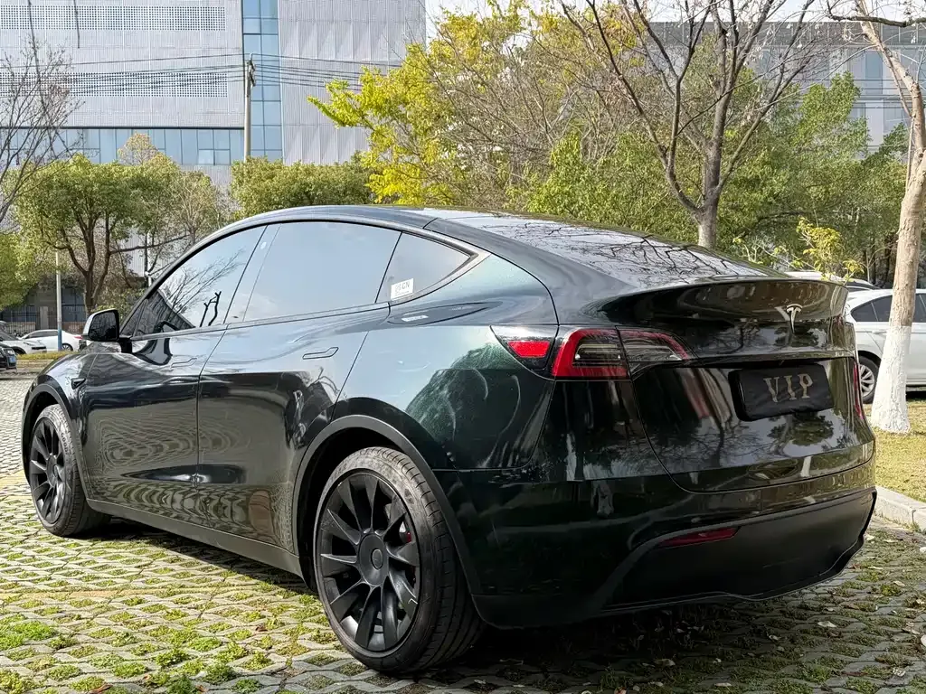Tesla Model Y 2021 из CN, фото 10