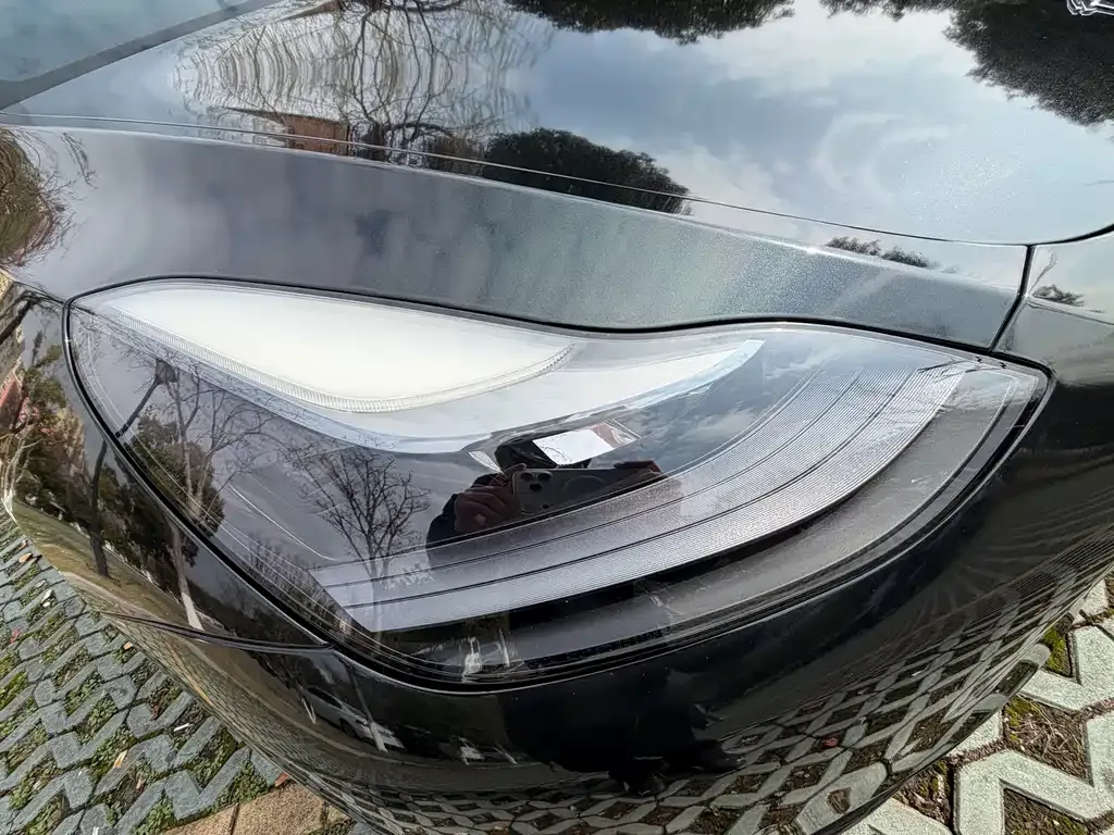Tesla Model Y 2021 из CN, фото 6