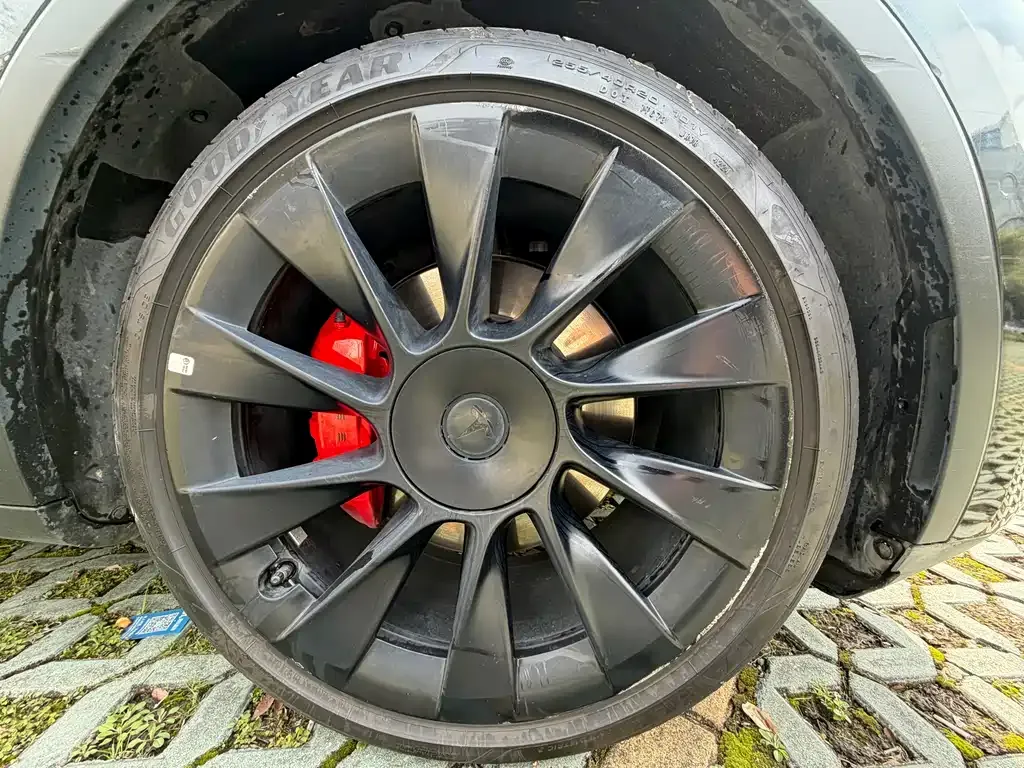 Tesla Model Y 2021 из CN, фото 8