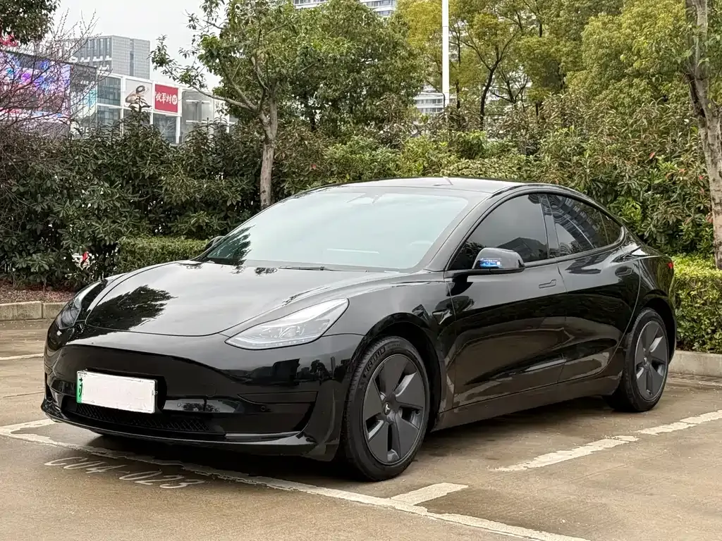 Tesla Model 3 2023 из CN, фото 1