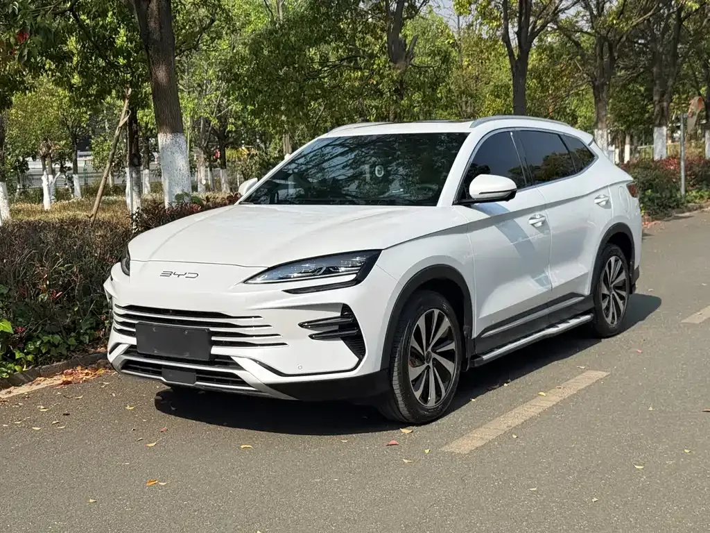 BYD PLUS New Energy — фото 1
