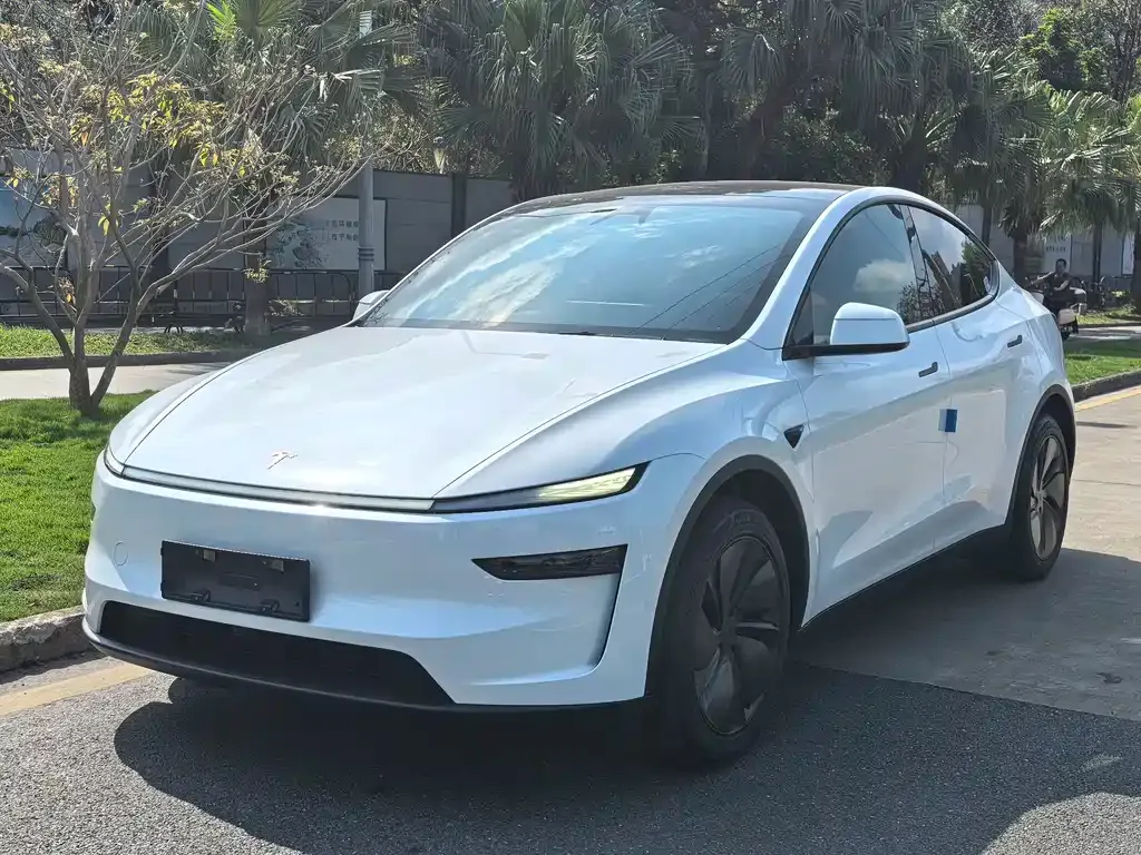 Tesla Model Y 2026 из CN, фото 1