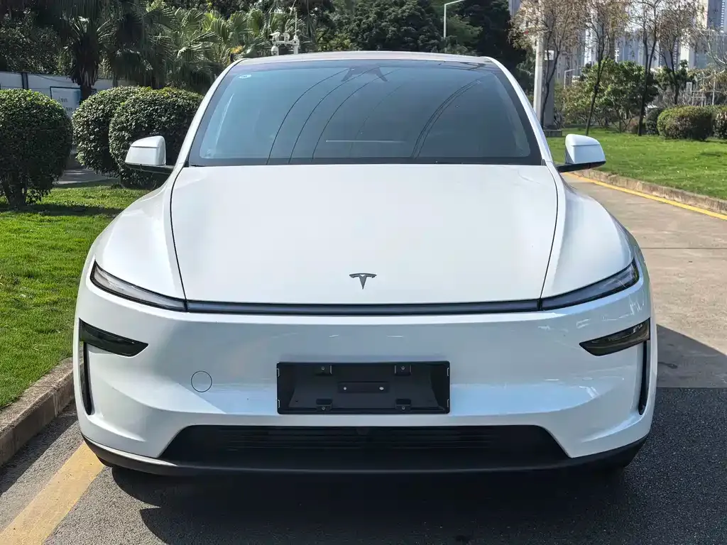 Tesla Model Y 2026 из CN, фото 8