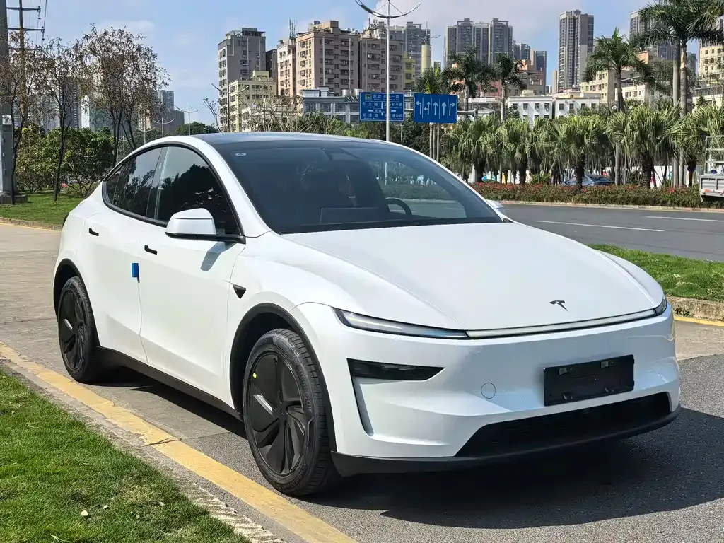 Tesla Model Y 2026 из CN, фото 5