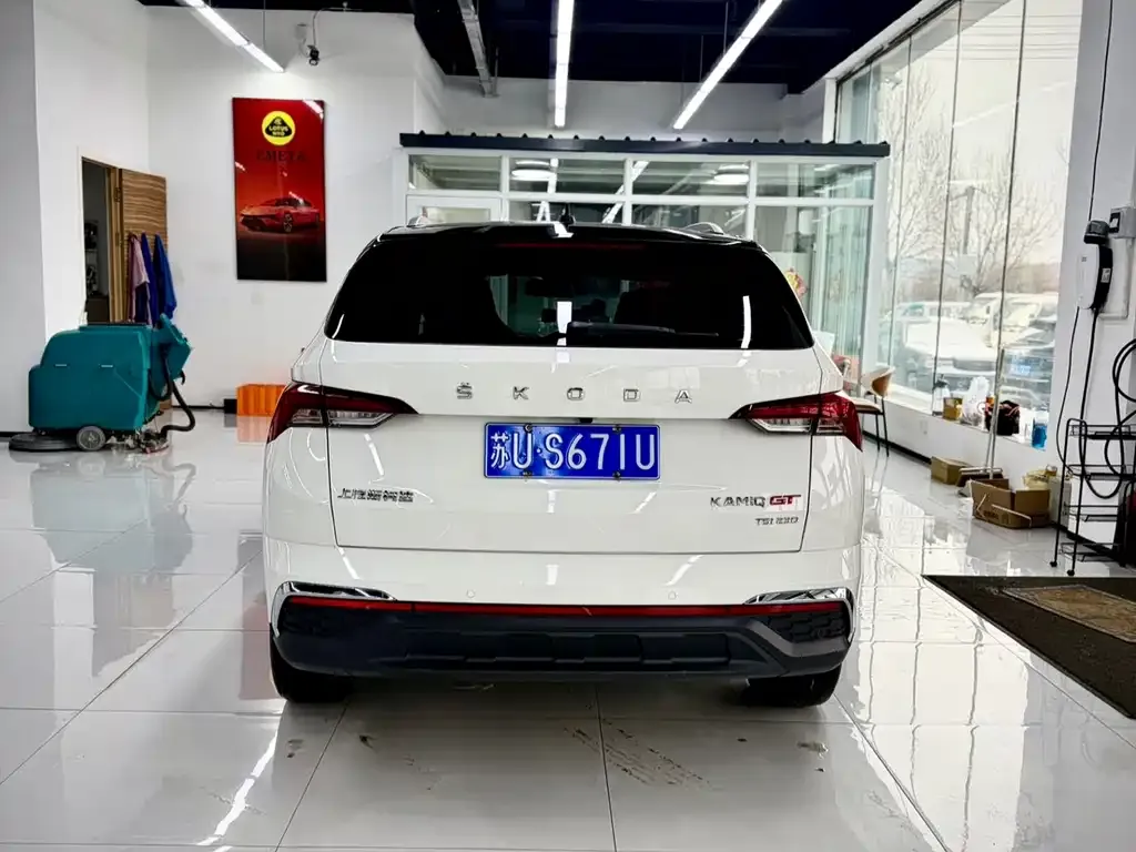 Skoda Kamiq 2022 из CN, фото 6