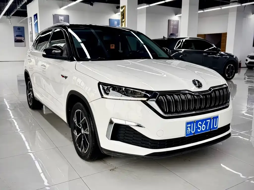 Skoda Kamiq 2022 из CN, фото 9