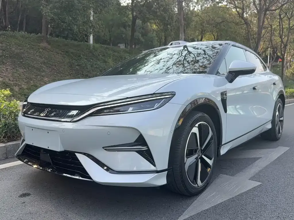 BYD L EV