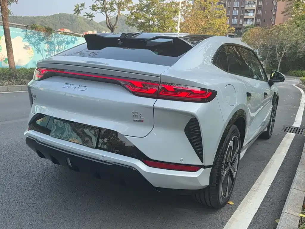 BYD L EV 2025 из CN, фото 6