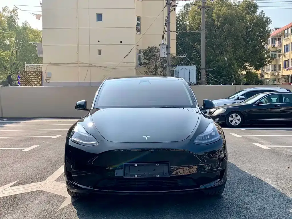 Tesla Model Y — фото 9