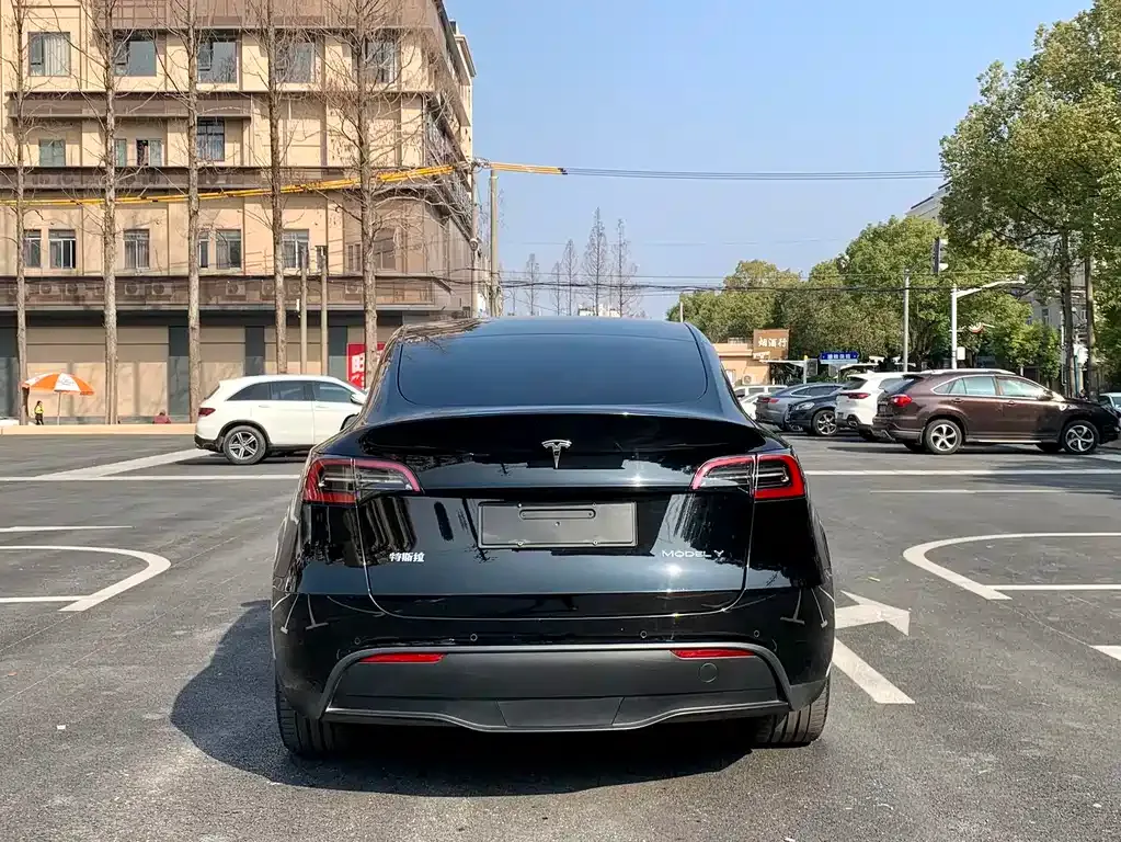 Tesla Model Y — фото 2