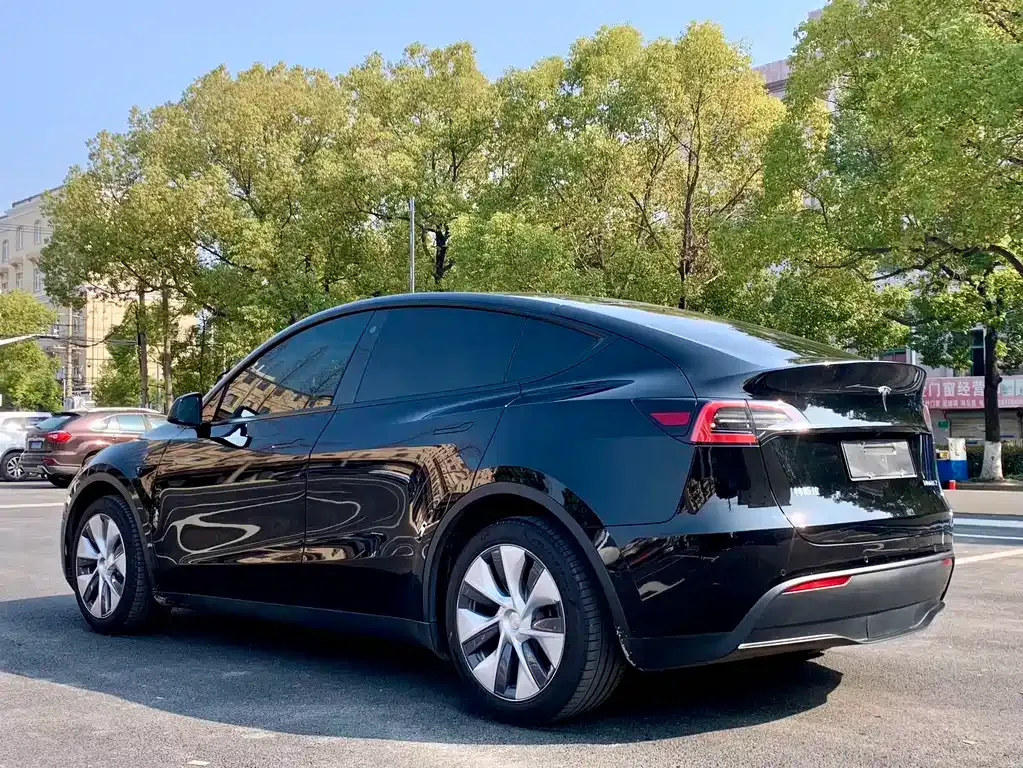 Tesla Model Y — фото 10