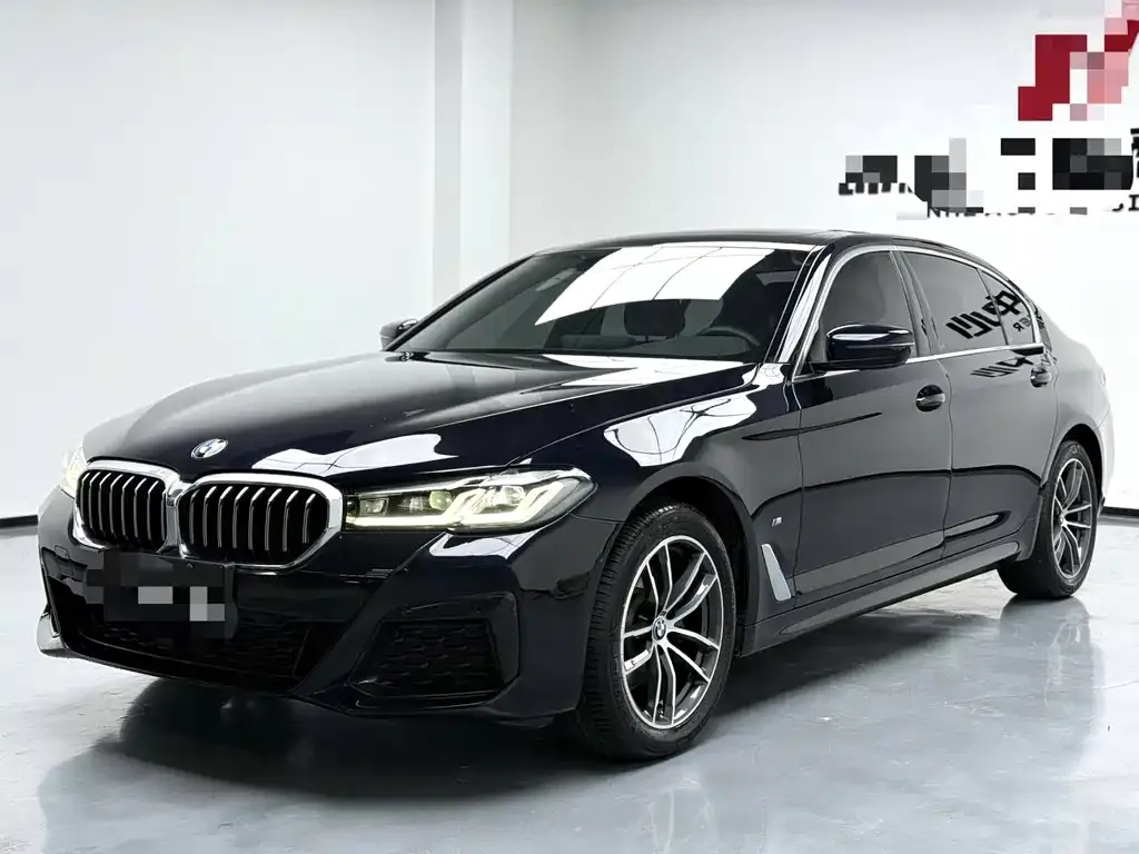 BMW 5 Series 2022 из CN, фото 1