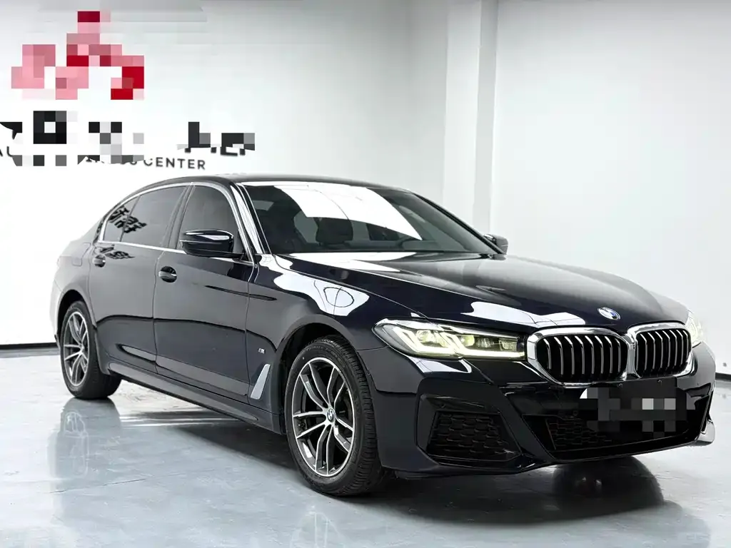 BMW 5 Series 2022 из CN, фото 3