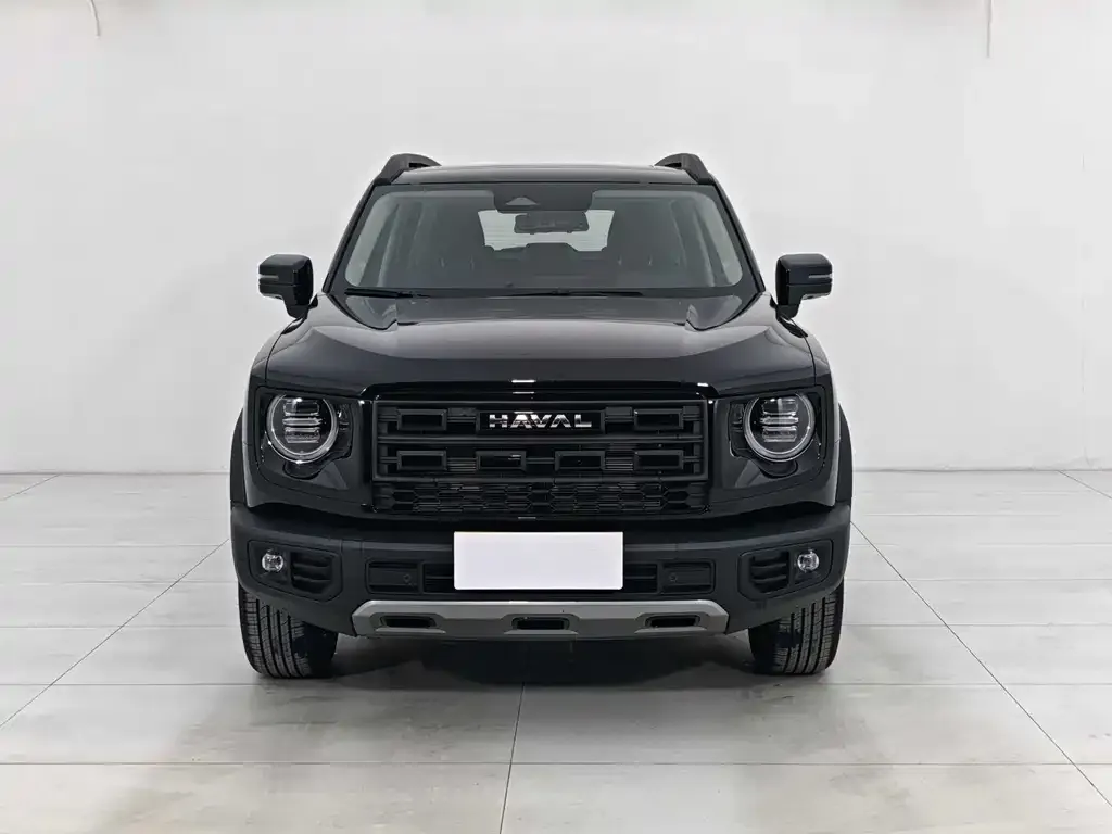 Haval Big Dog — фото 5