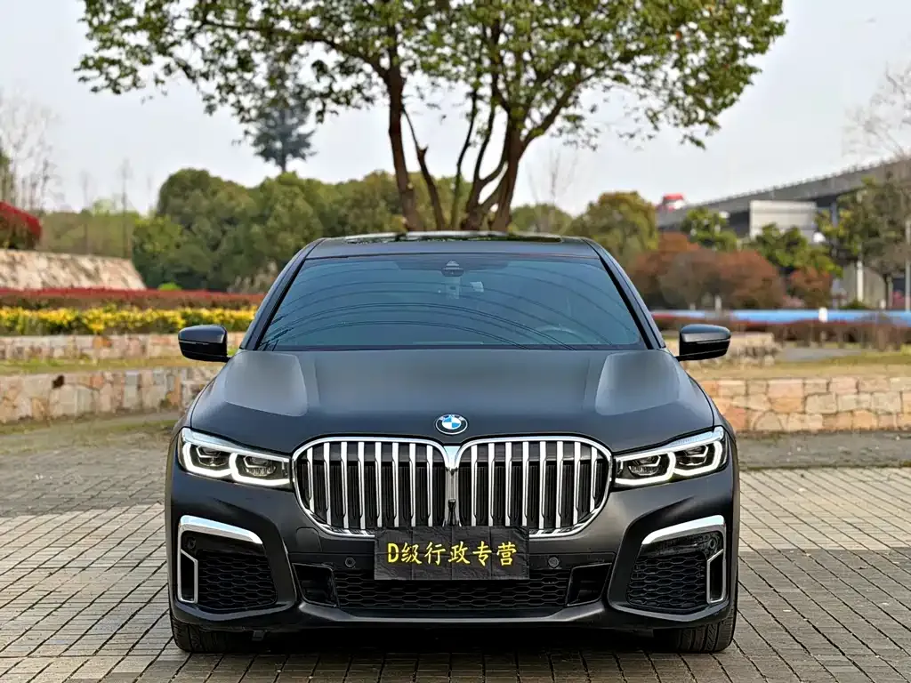 BMW 7 Series 2021 из CN, фото 9