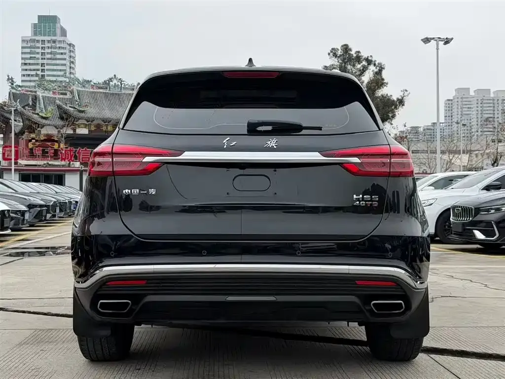 Hongqi HS5 2023 из CN, фото 10