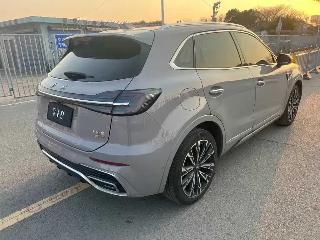 Hongqi HS5 2023 из CN, фото 8