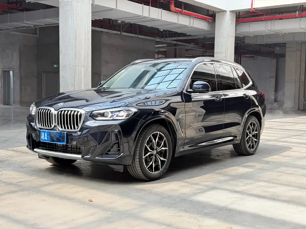 BMW X3 2023 из CN, фото 10