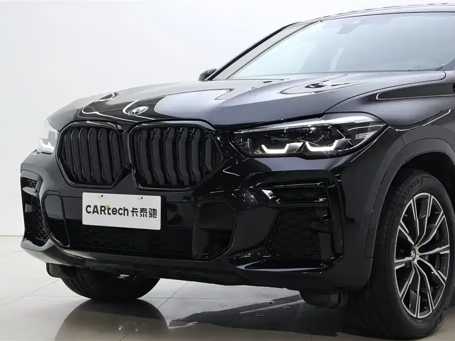 BMW X6 2023 из CN, фото 10