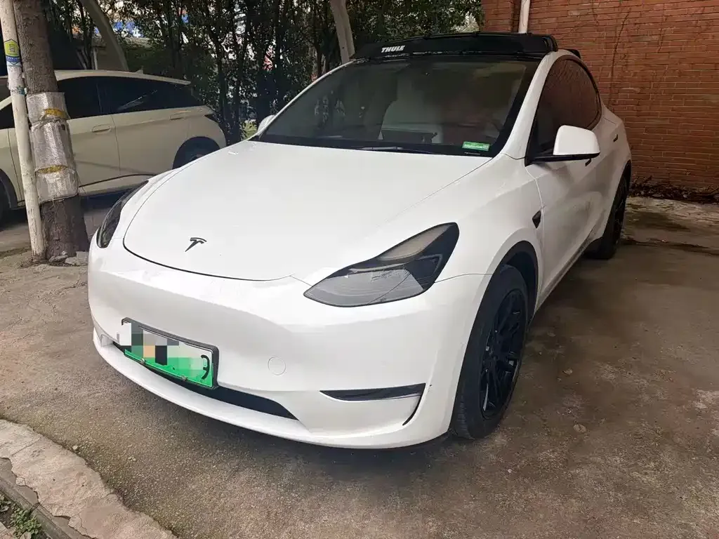 Tesla Model Y 2021 из CN, фото 1
