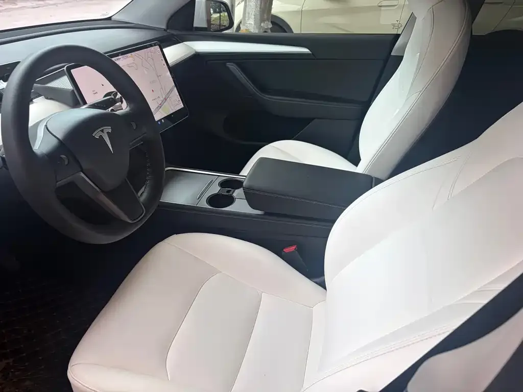 Tesla Model Y 2021 из CN, фото 7
