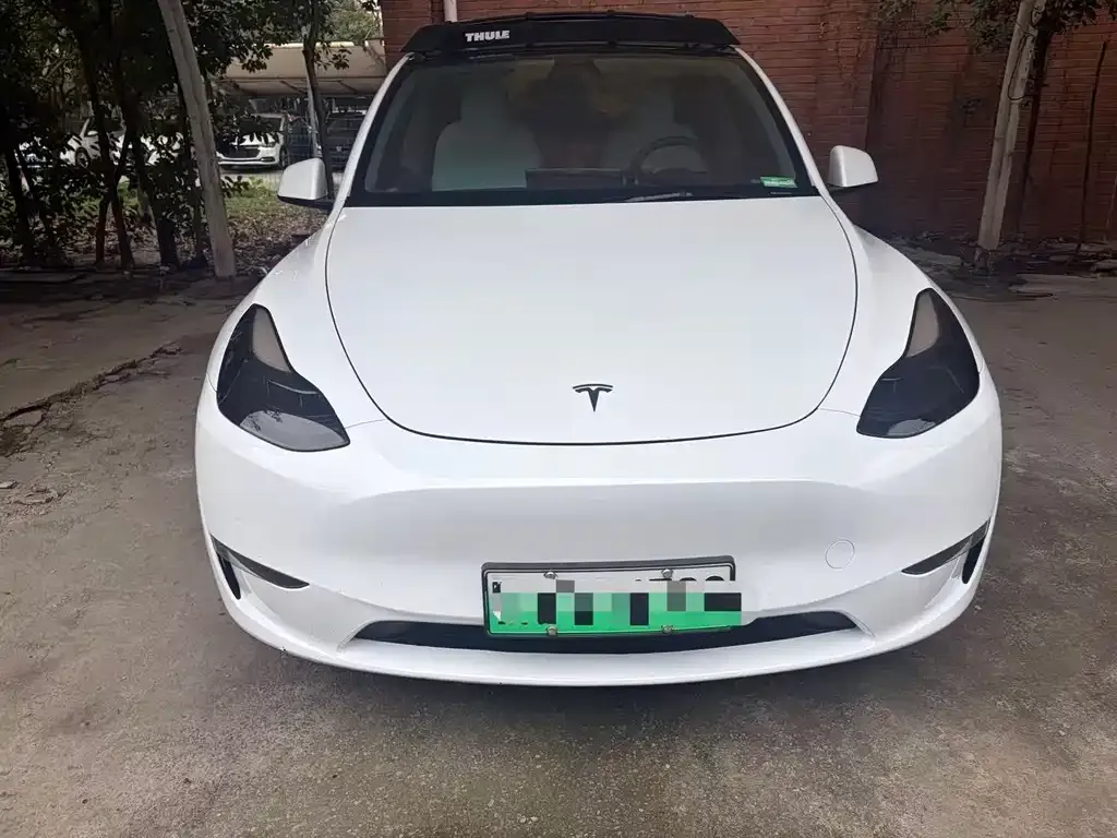 Tesla Model Y 2021 из CN, фото 3