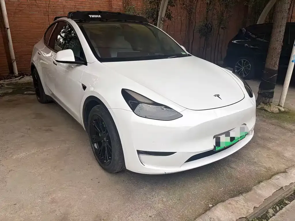 Tesla Model Y 2021 из CN, фото 8