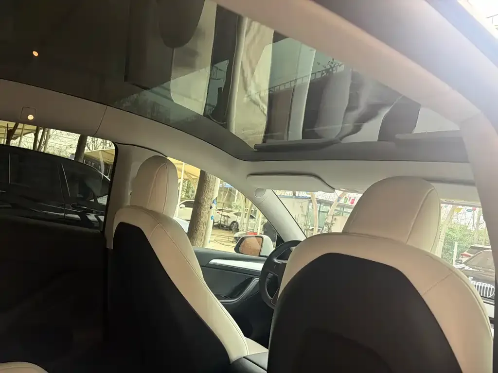 Tesla Model Y 2021 из CN, фото 6