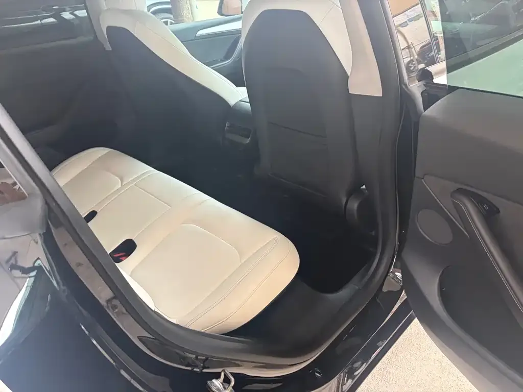 Tesla Model Y 2021 из CN, фото 5