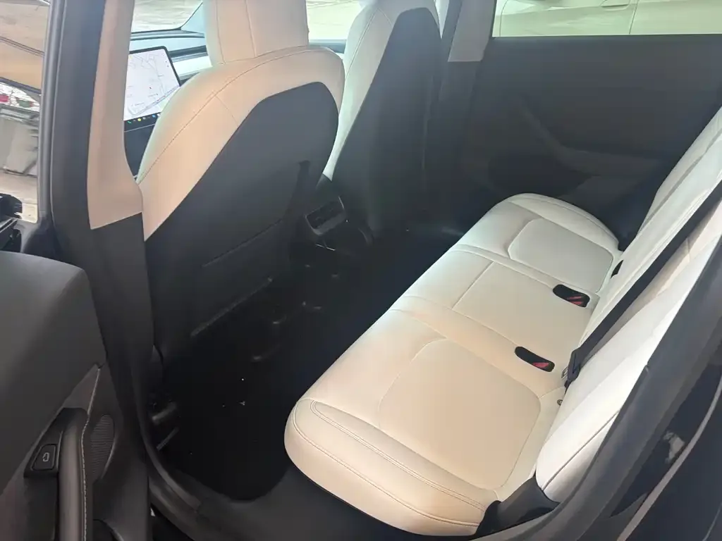Tesla Model Y 2021 из CN, фото 4
