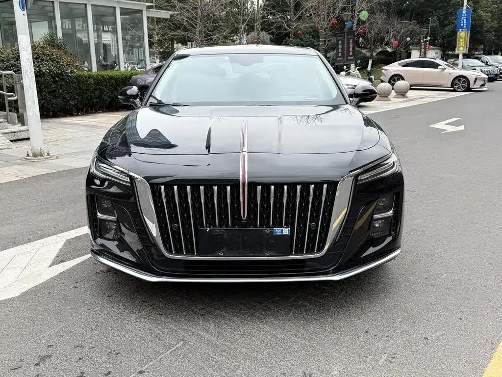 Hongqi H5 2024 из CN, фото 3