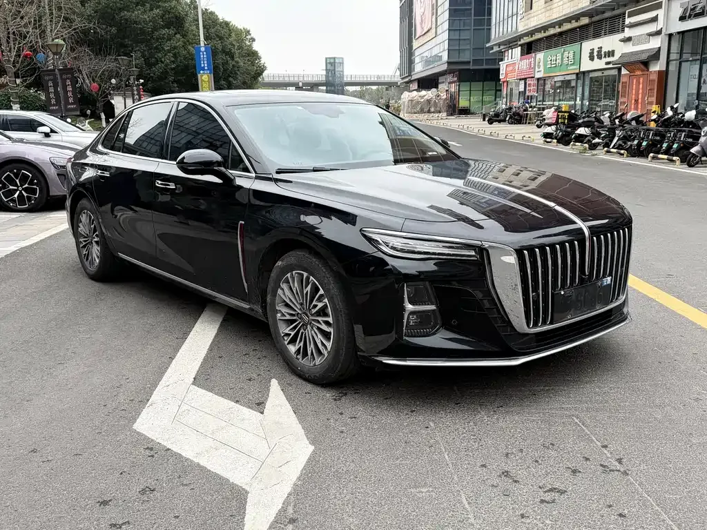 Hongqi H5 2024 из CN, фото 4