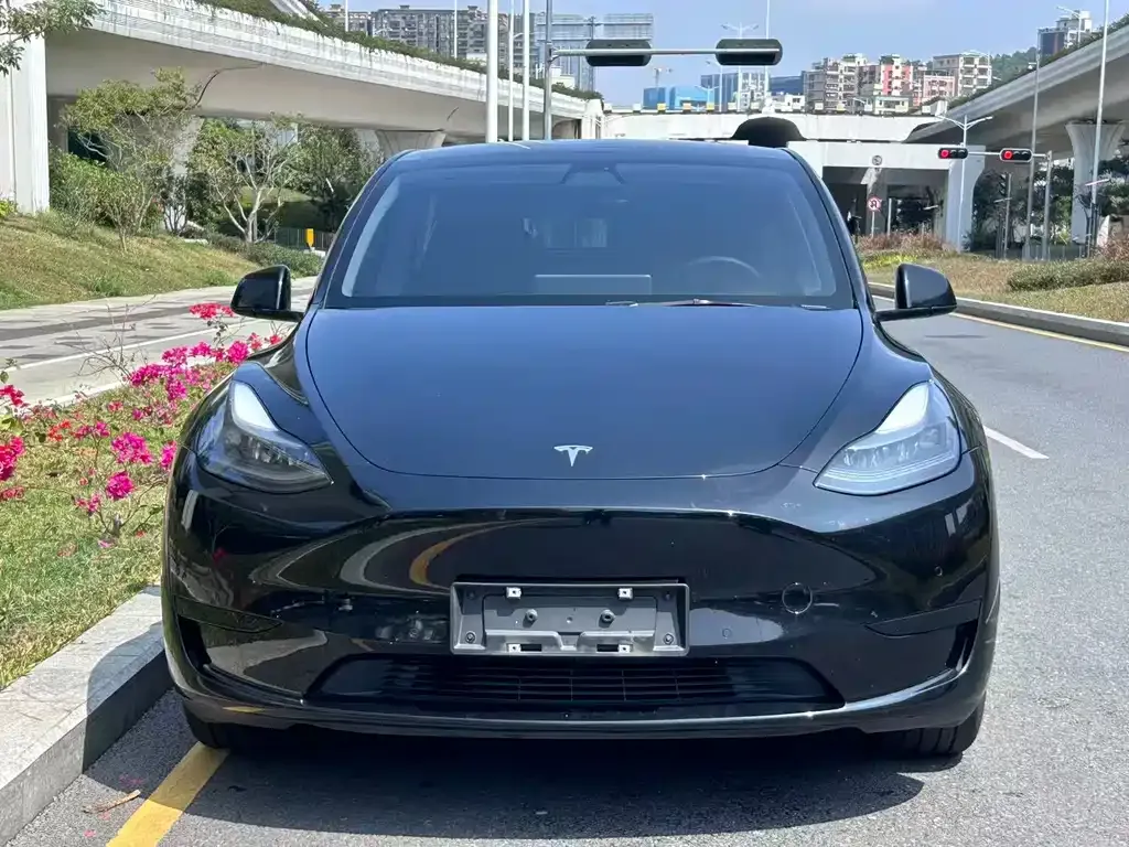 Tesla Model Y — фото 5