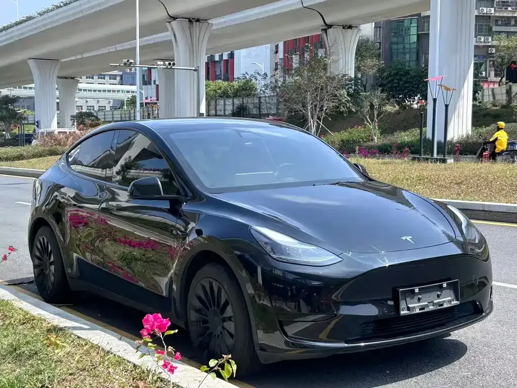 Tesla Model Y — фото 4