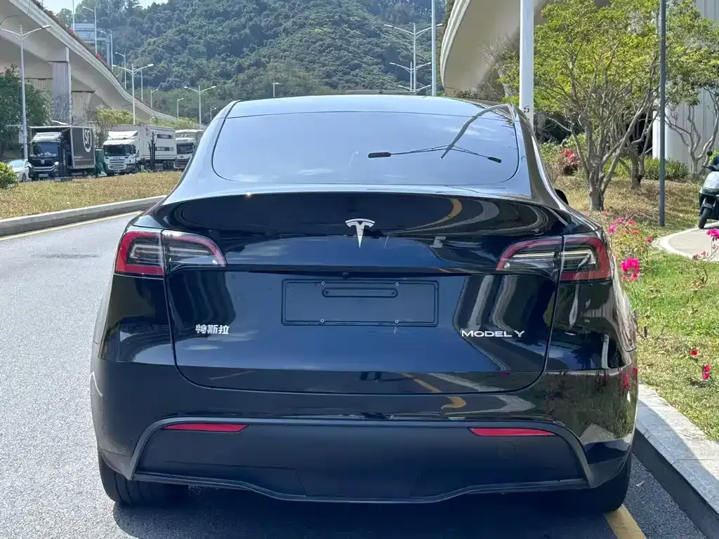 Tesla Model Y — фото 6