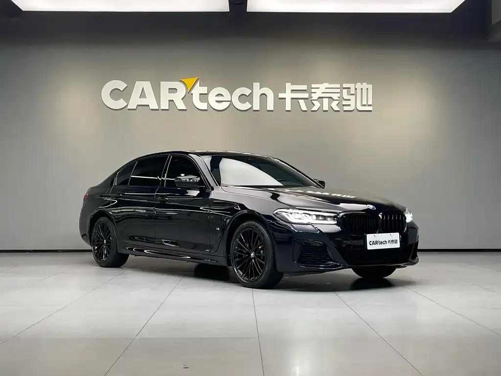 BMW 5 Series 2023 из CN, фото 7