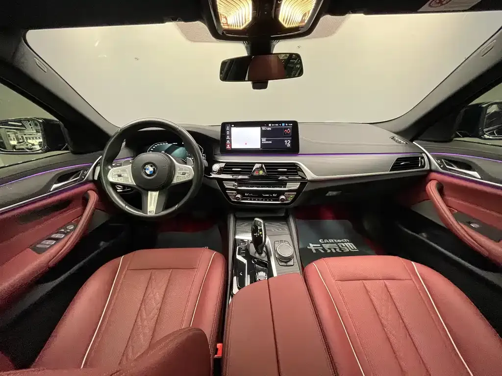 BMW 5 Series 2023 из CN, фото 6