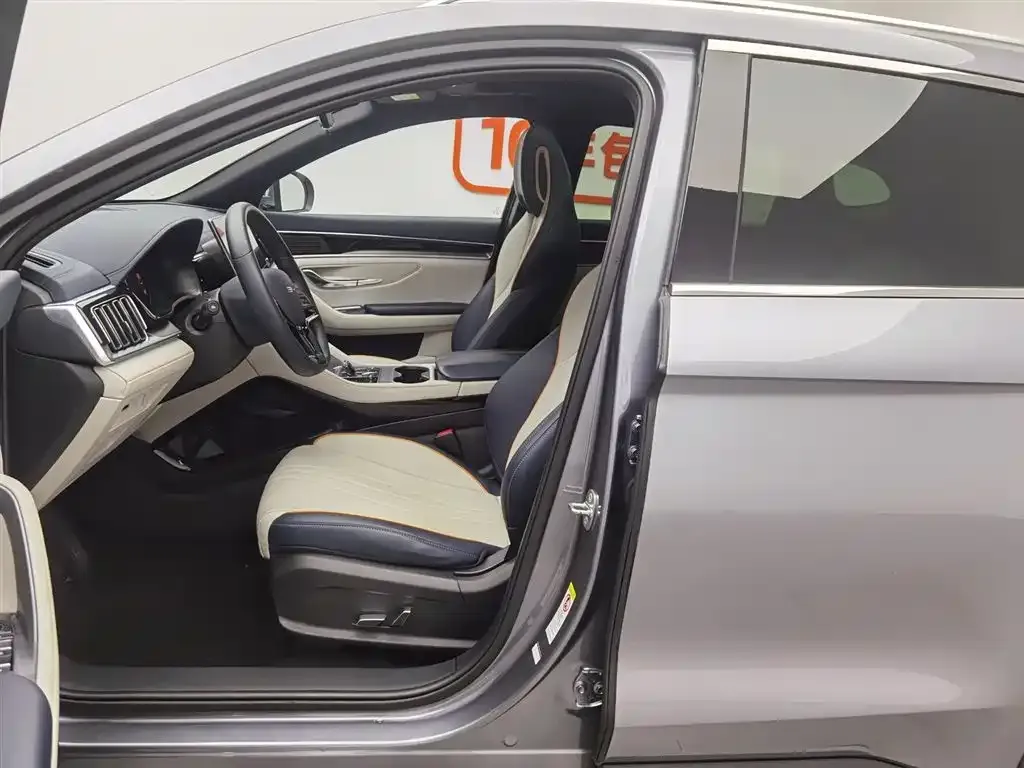 BYD PLUS New Energy 2024 из CN, фото 2