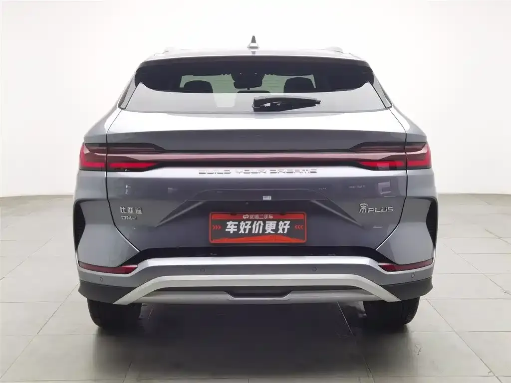 BYD PLUS New Energy 2024 из CN, фото 10