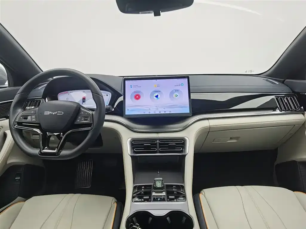 BYD PLUS New Energy 2024 из CN, фото 8