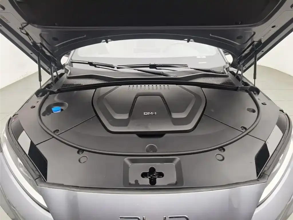 BYD PLUS New Energy 2024 из CN, фото 4