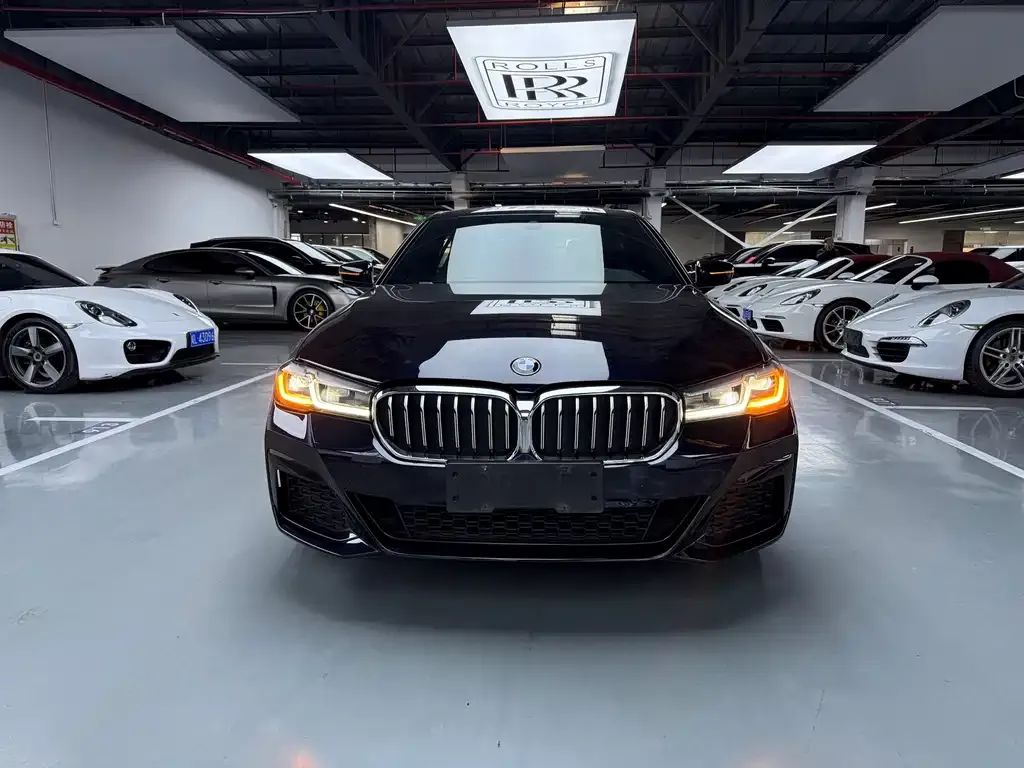 BMW 5 Series 2021 из CN, фото 7