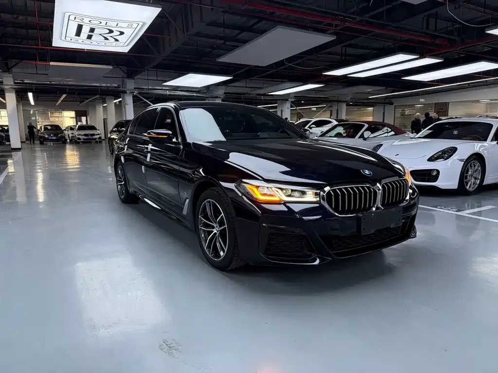 BMW 5 Series 2021 из CN, фото 9