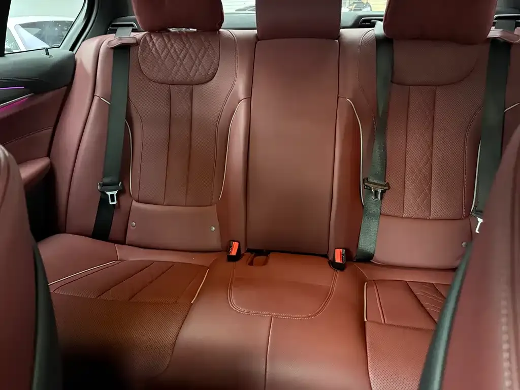 BMW 5 Series 2021 из CN, фото 4