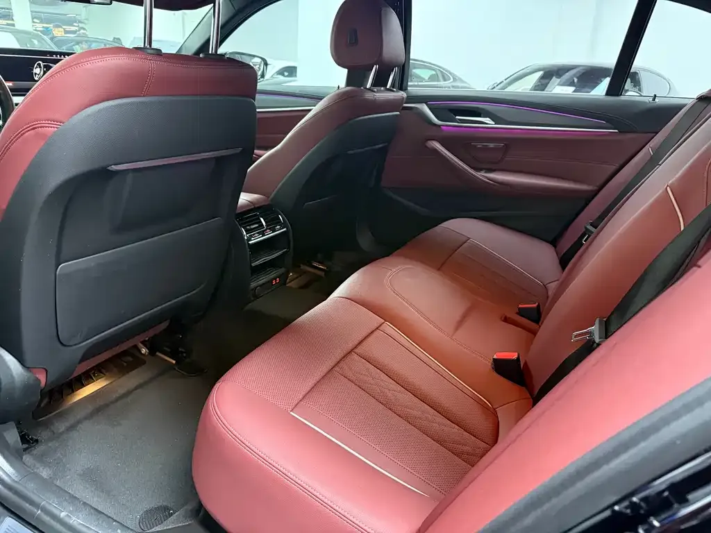 BMW 5 Series 2021 из CN, фото 8