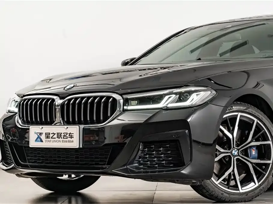 BMW 5 Series (Import) 2021 из CN, фото 9