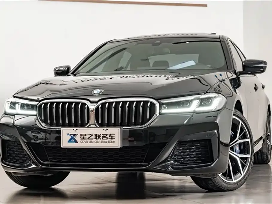 BMW 5 Series (Import) 2021 из CN, фото 5