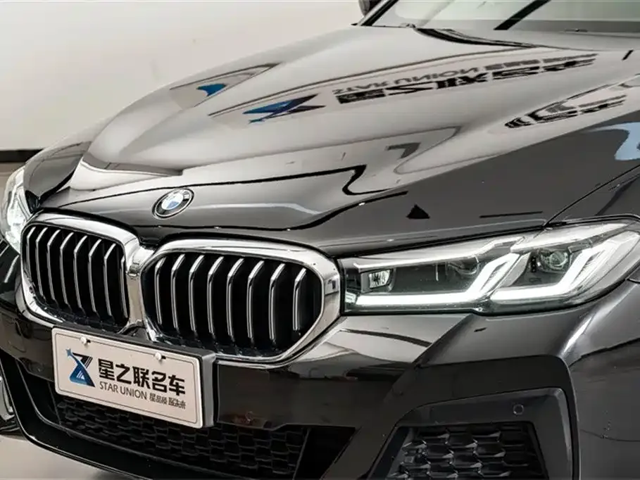 BMW 5 Series (Import) 2021 из CN, фото 4