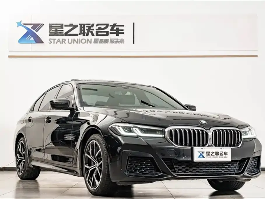 BMW 5 Series (Import) 2021 из CN, фото 7